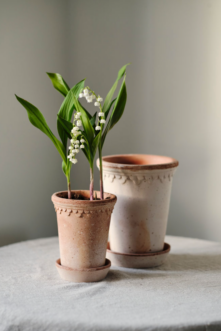 Københavner RAW Rosa Tall Pot + Saucer, Italy | 10RPS