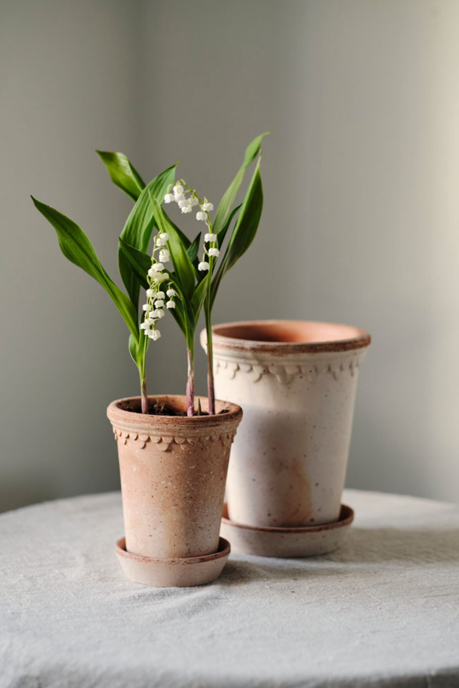 Københavner RAW Rosa Tall Pot + Saucer, Italy | 14RPS