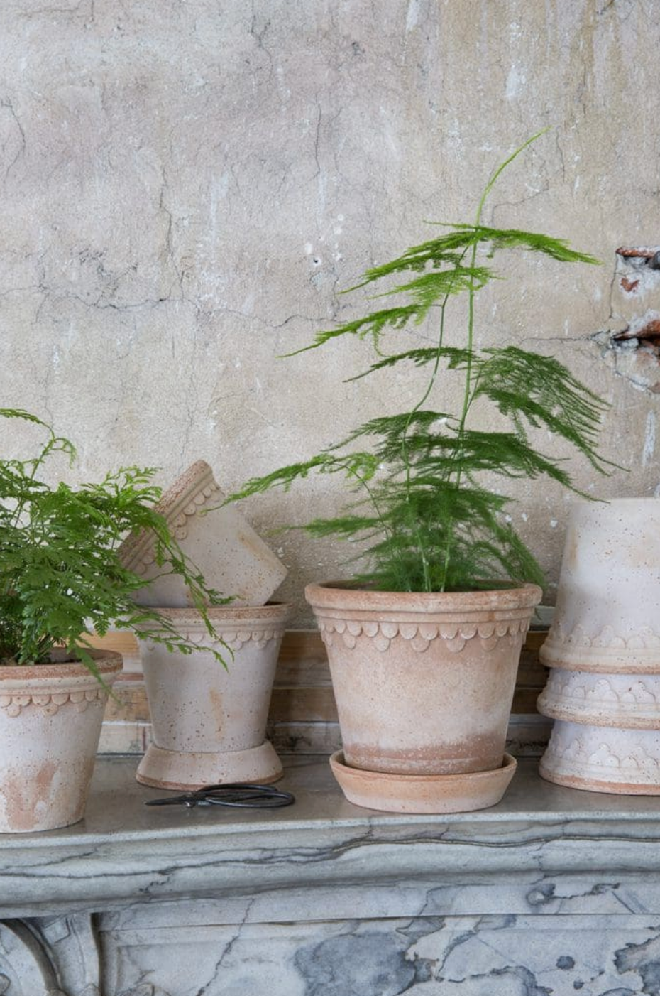 Københavner RAW Rosa Pot + Saucer, Italy | 12S