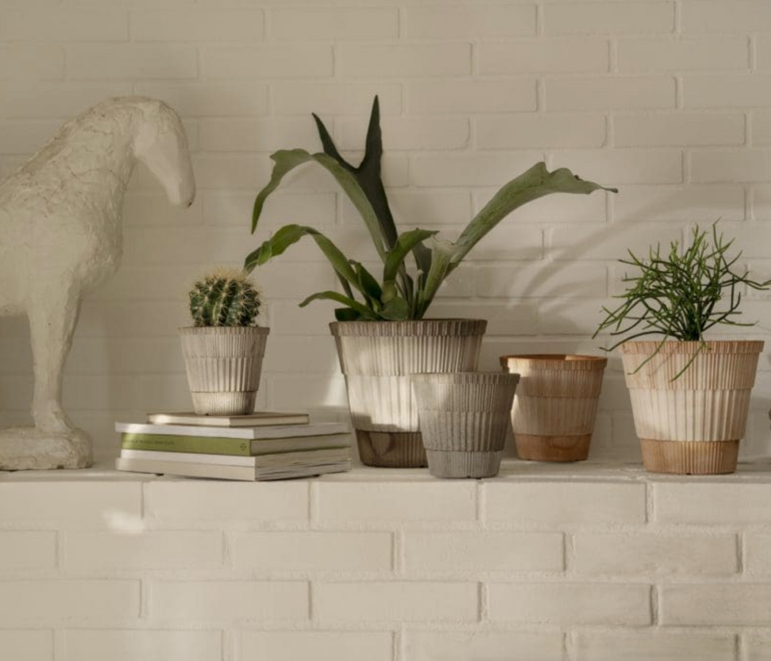 Atlas RAW Rosa Pot + Saucer, Italy | 14S