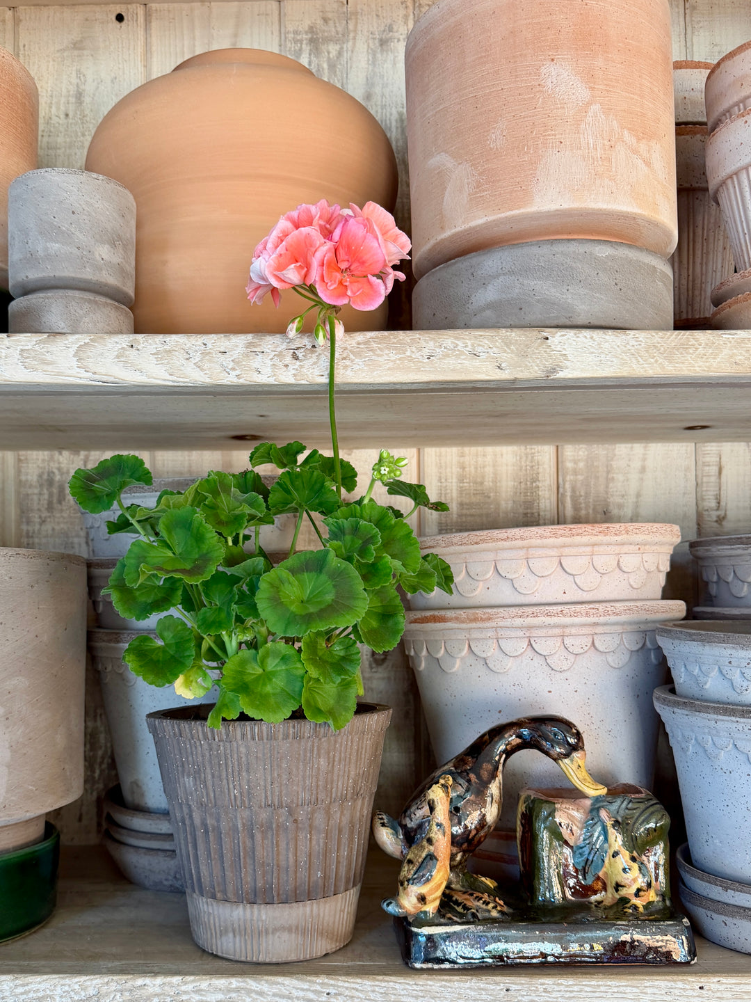 Atlas RAW Grey Pot + Saucer, Italy | 21S