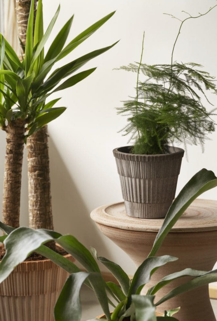 Atlas RAW Grey Pot + Saucer, Italy | 21S