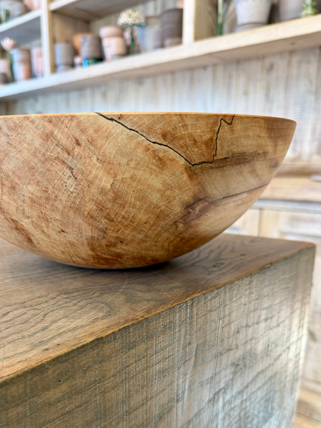 Spencer Peterman - Classic Spalted Ambrosia Maple Bowl | D | 13"