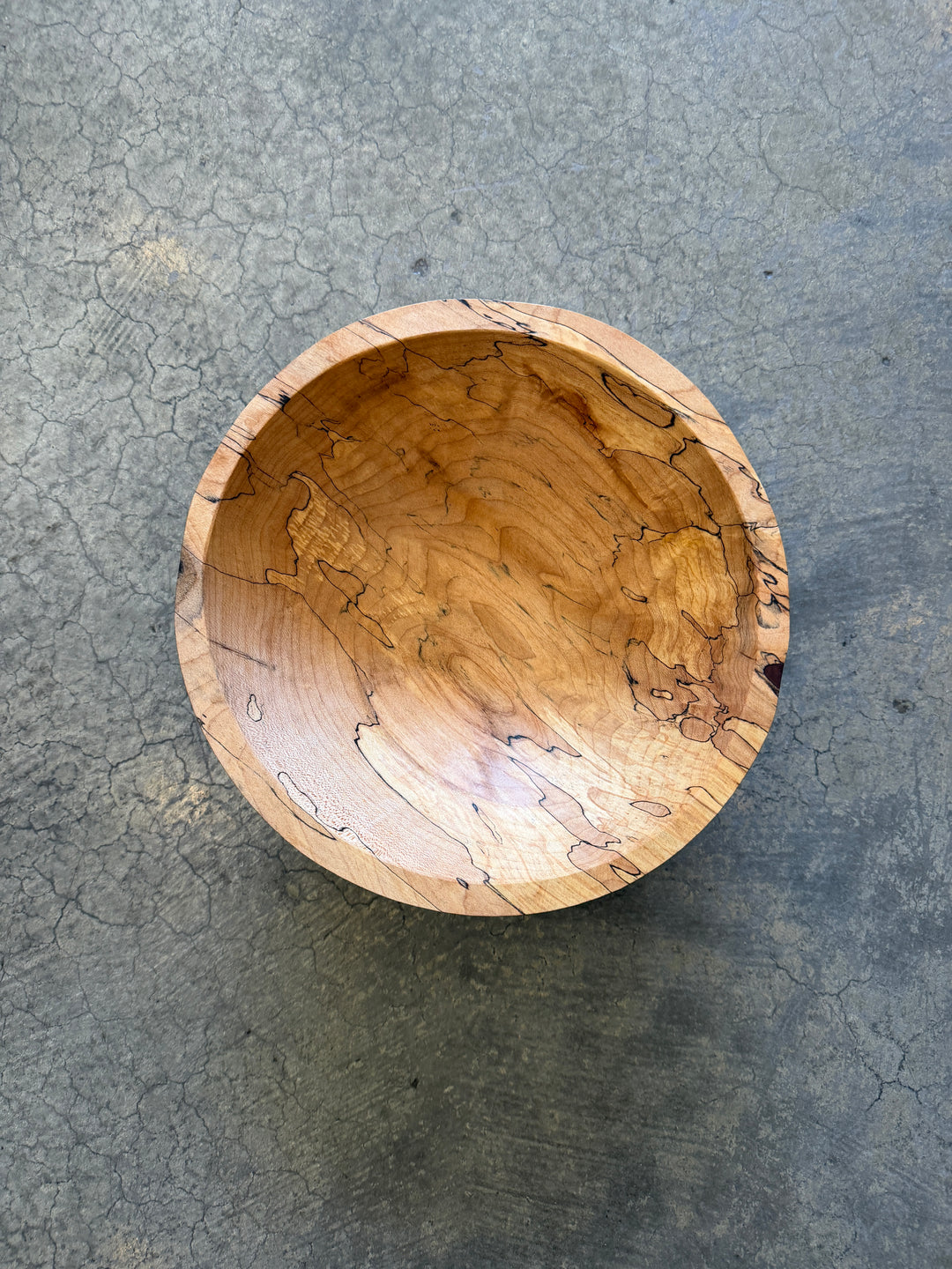 Spencer Peterman - Classic Spalted Ambrosia Maple Bowl  | 10" | C