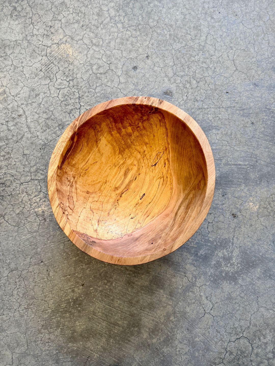 Spencer Peterman - Classic Spalted Ambrosia Maple Bowl  | 10" | E