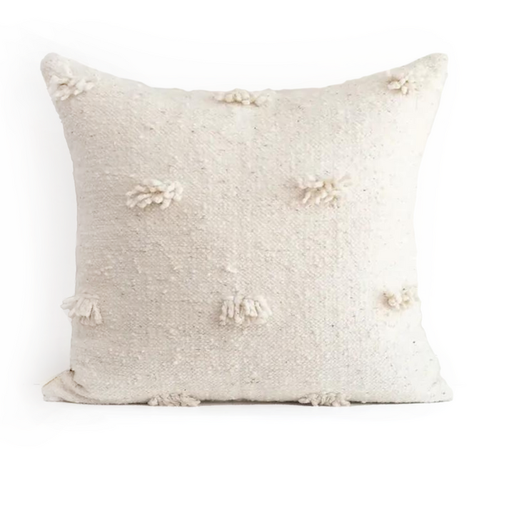Momo Fringe Pillow | 20" x 20"