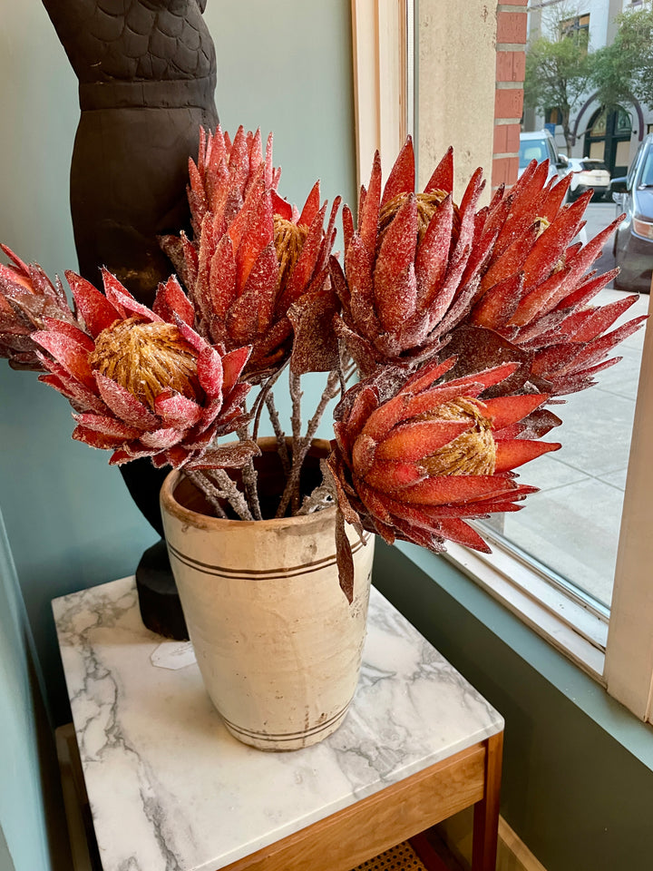 29" Protea Stem