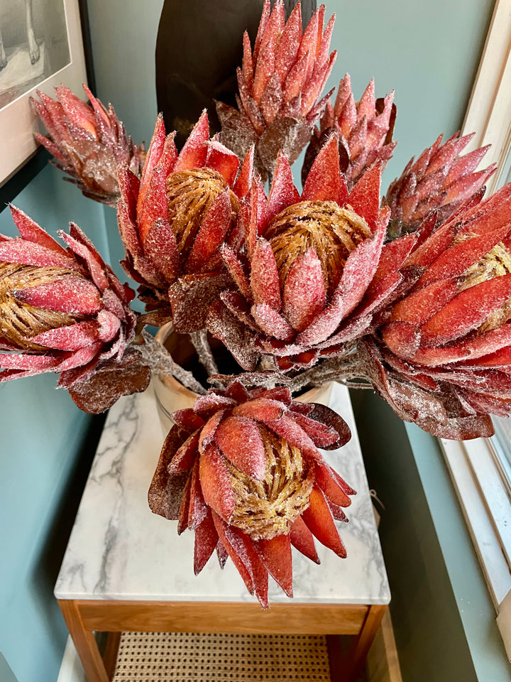 29" Protea Stem