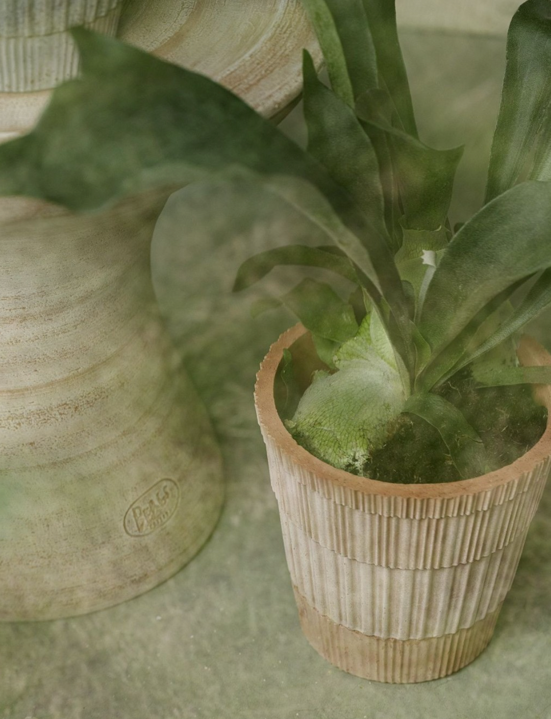 Atlas RAW Rosa Pot + Saucer, Italy | 14S