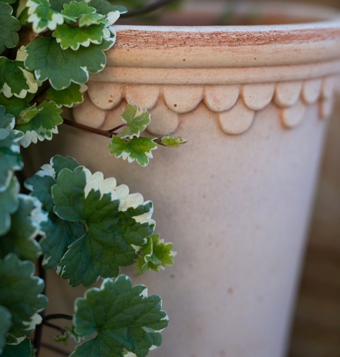 Københavner RAW Rosa Pot + Saucer, Italy | 12S