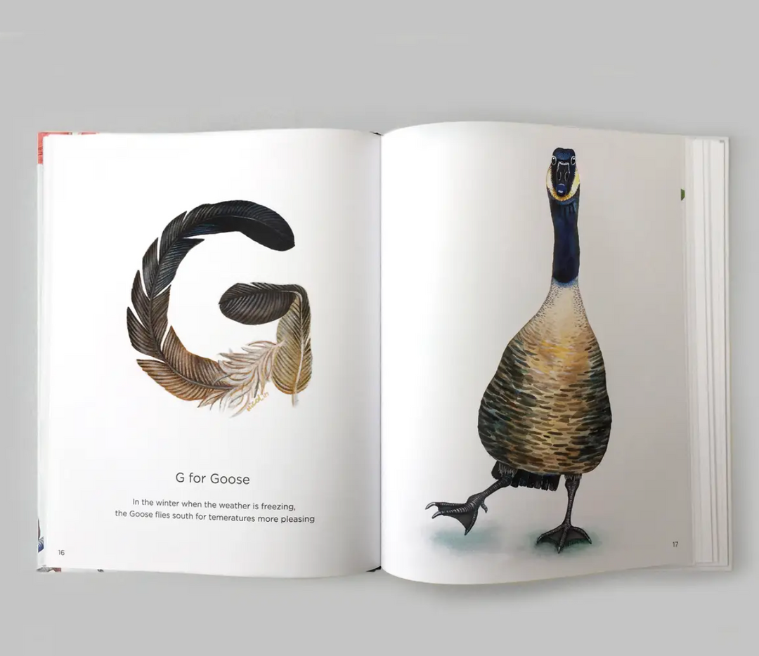 Book - ABC with Birds by Charlotte Nicolin