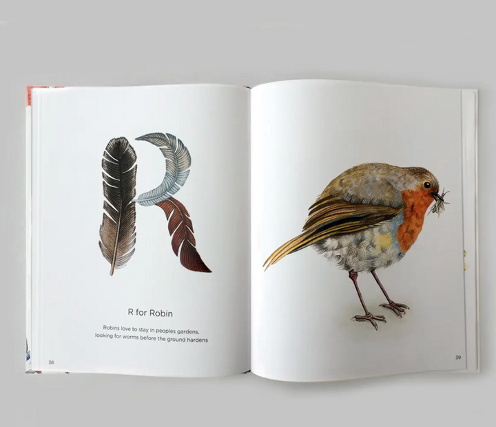 Book - ABC with Birds by Charlotte Nicolin