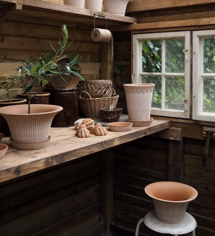 Daisy RAW Rosa Pot + Saucer, Italy | 25S