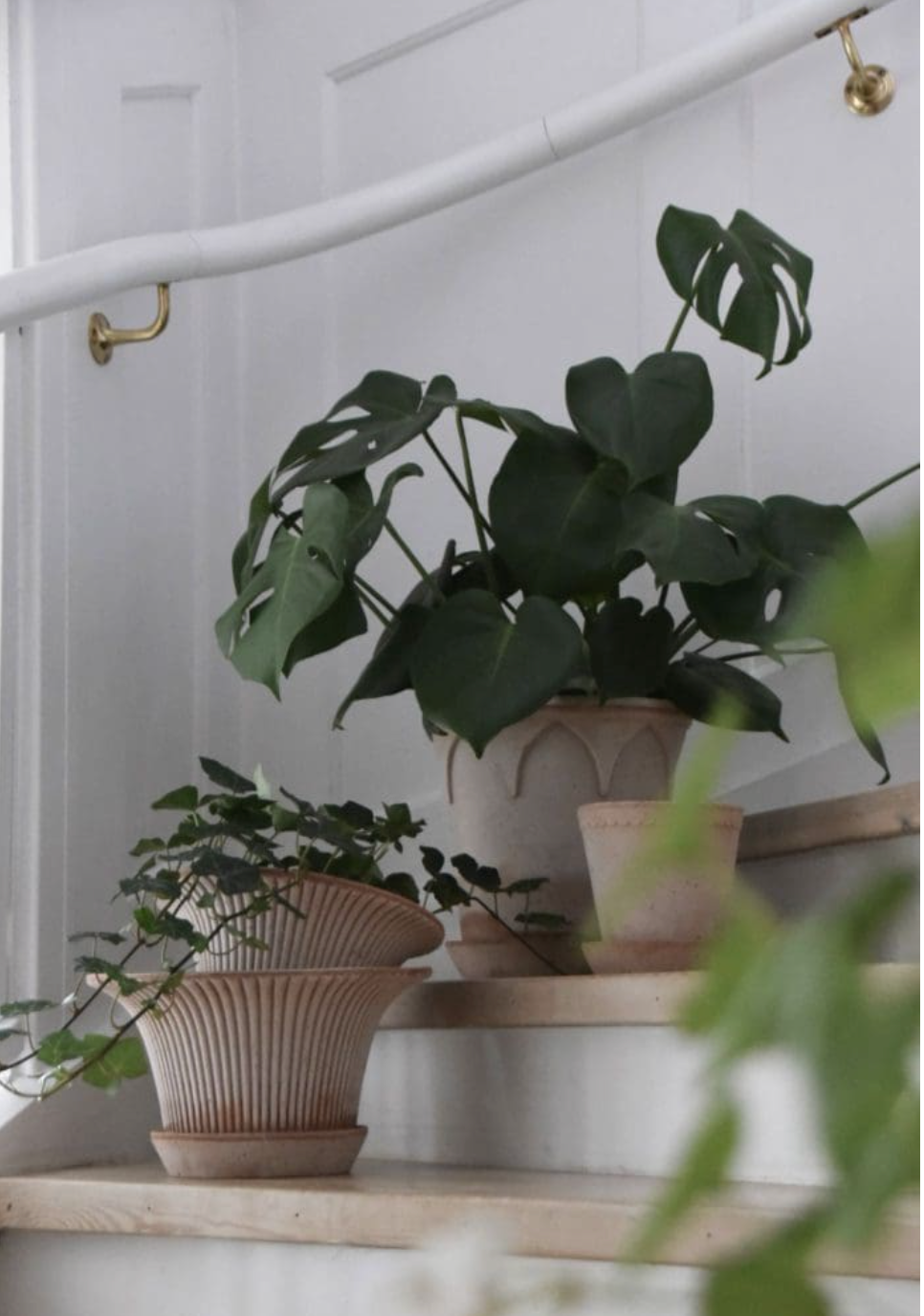 Daisy RAW Rosa Pot + Saucer, Italy | 25S