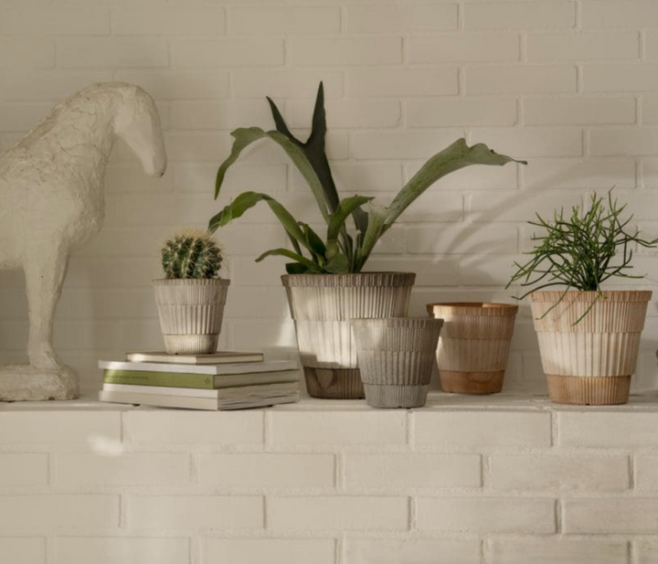 Atlas RAW Rosa Pot + Saucer, Italy | 18S