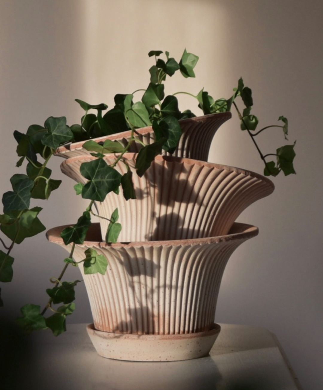 Daisy RAW Rosa Pot + Saucer, Italy | 25S