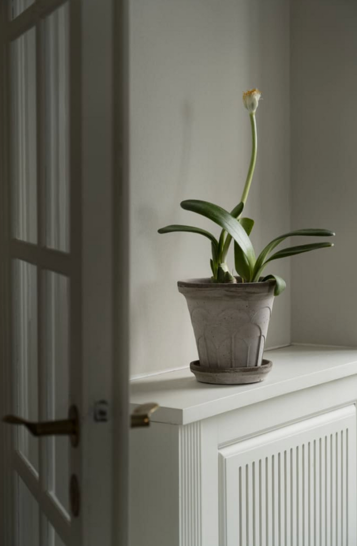 Fleur RAW Grey Pot + Saucer, Italy | 18GB