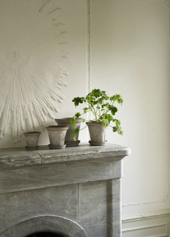 Fleur RAW Grey Pot + Saucer, Italy | 18GB