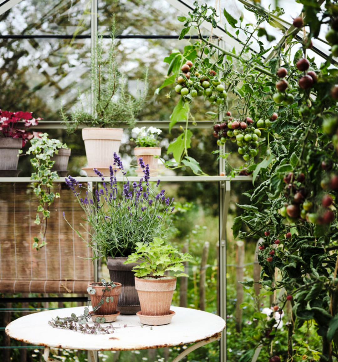 Simona RAW Rosa Pot + Saucer, Italy | 14S