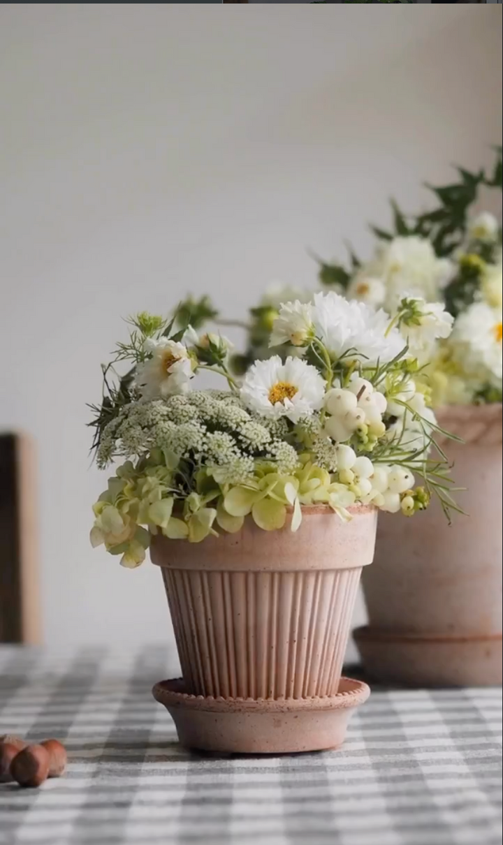 Simona RAW Rosa Pot + Saucer, Italy | 14S