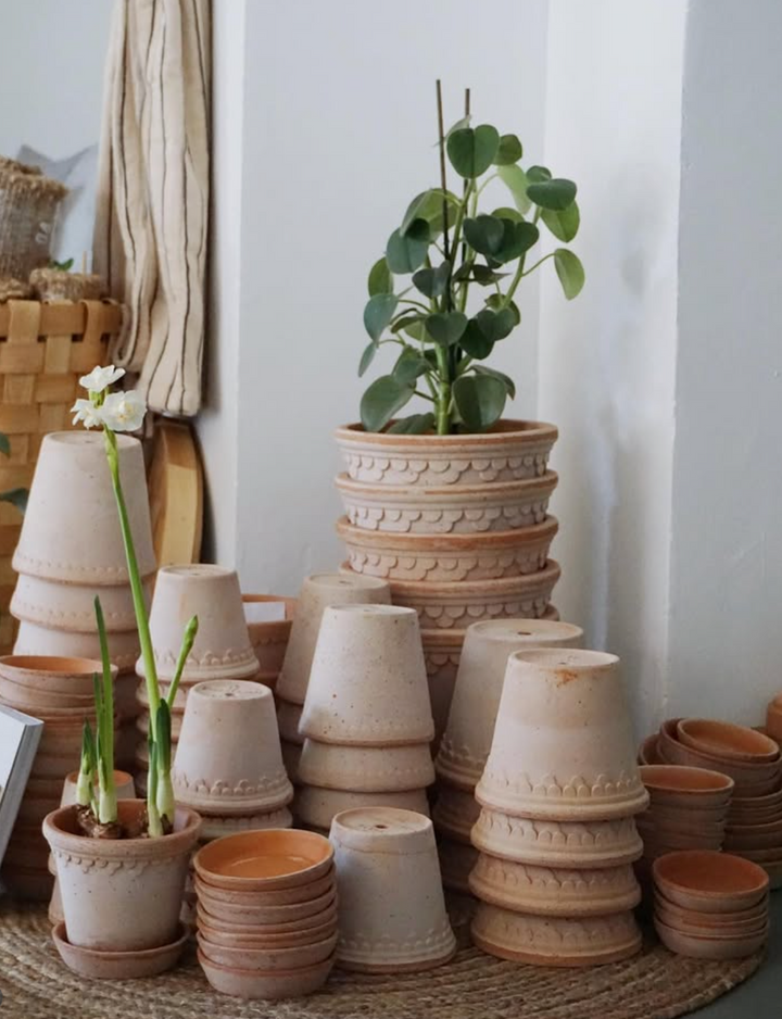 Københavner RAW Rosa Pot + Saucer, Italy | 21S