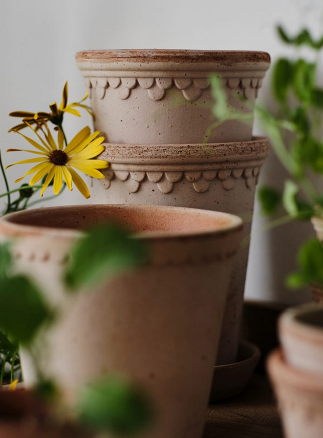 Københavner RAW Rosa Pot + Saucer, Italy | 16S