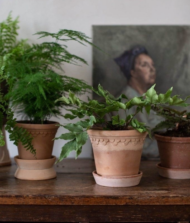 Københavner RAW Rosa Pot + Saucer, Italy | 16S