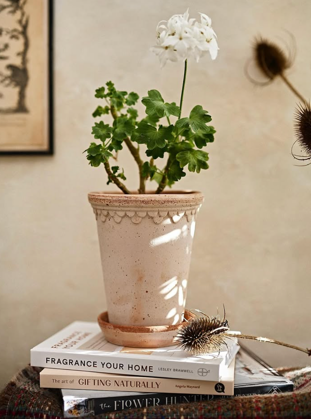 Københavner RAW Rosa Tall Pot + Saucer, Italy | 14RPS