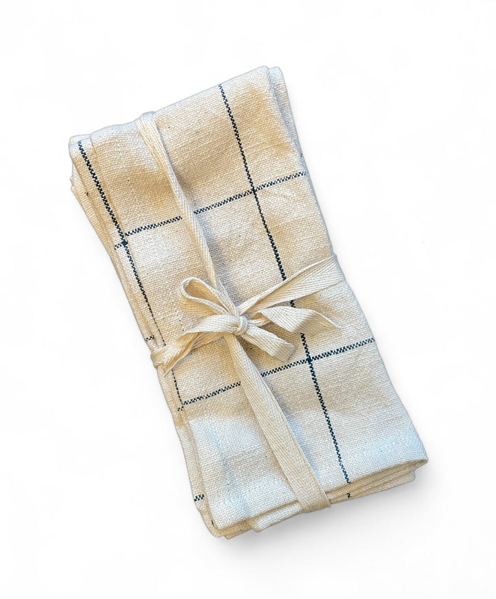 Woven Cotton Napkins with Grid Pattern, Blue | Set of 4